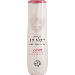 COLOUR SHAMPOO - Σαμπουάν Για Βαμμένα Μαλλιά 300 ml